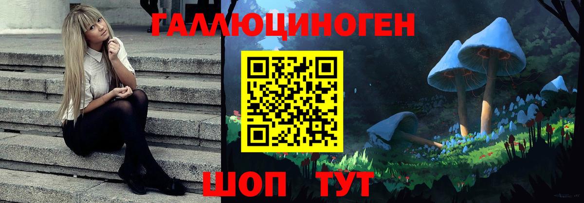 Псилоцибиновые грибы Psilocybine cubensis Тула