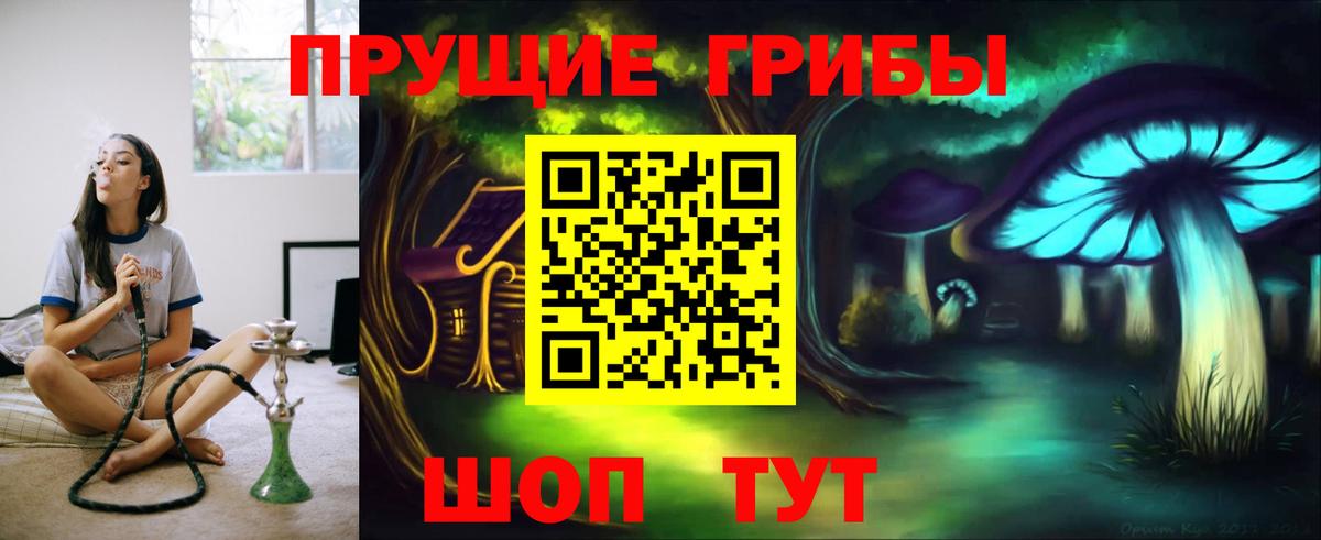 Тула  Галлюциногенные грибы мицелий  Вход с VPN 